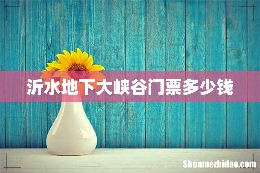 沂水地下大峡谷门票多少钱