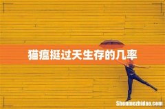 猫瘟挺过天生存的几率