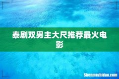 泰剧双男主大尺推荐最火电影