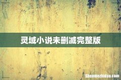 灵域小说未删减完整版