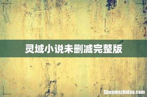 灵域小说未删减完整版