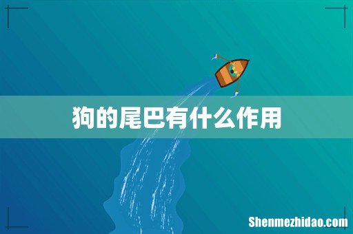 狗的尾巴有什么作用