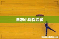 自制小鸡保温箱