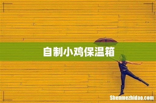 自制小鸡保温箱