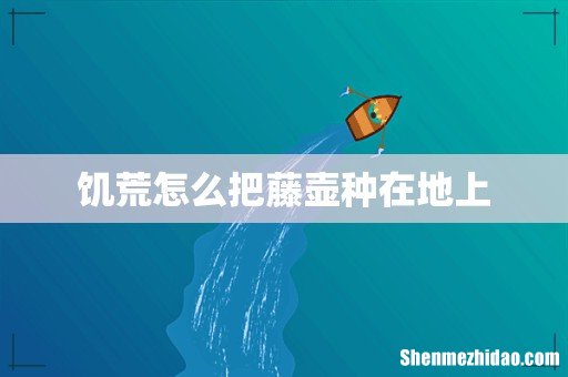 饥荒怎么把藤壶种在地上