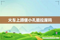火车上蹲便小孔能拉屎吗