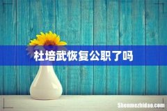 杜培武恢复公职了吗