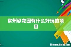 常州恐龙园有什么好玩的项目
