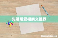 先婚后爱相亲文推荐