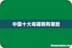 中国十大毒猫粮有哪些