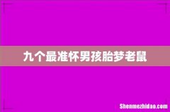 九个最准怀男孩胎梦老鼠