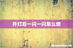 开灯后一闪一闪怎么修