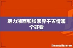 魅力湘西和张家界千古情哪个好看