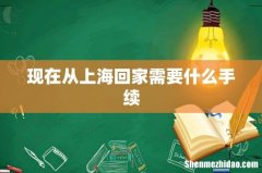 现在从上海回家需要什么手续