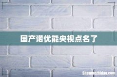 国产诺优能央视点名了