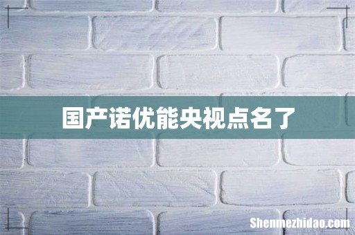 国产诺优能央视点名了