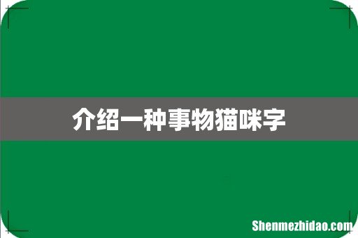 介绍一种事物猫咪字