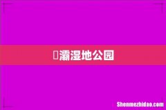 浐灞湿地公园