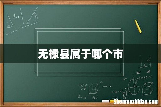 无棣县属于哪个市