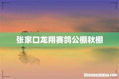 张家口龙翔赛鸽公棚秋棚
