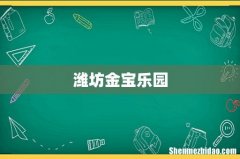 潍坊金宝乐园