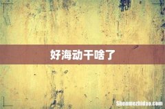 好海动干啥了