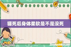 猫死后身体柔软是不是没死