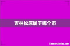 吉林松原属于哪个市