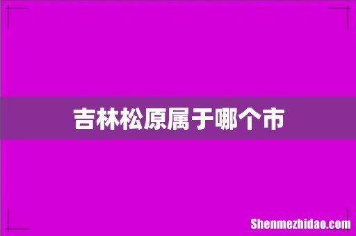 吉林松原属于哪个市