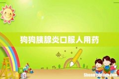狗狗胰腺炎口服人用药
