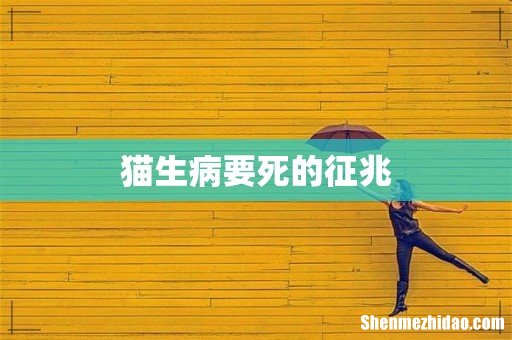 猫生病要死的征兆