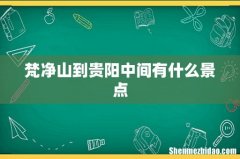 梵净山到贵阳中间有什么景点