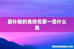 最补脑的鱼排名第一是什么鱼