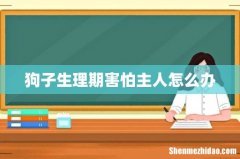 狗子生理期害怕主人怎么办