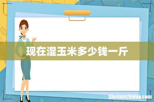 现在湿玉米多少钱一斤