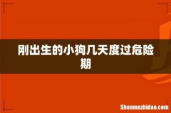 刚出生的小狗几天度过危险期