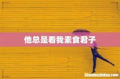 他总是看我素食君子