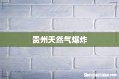 贵州天然气爆炸