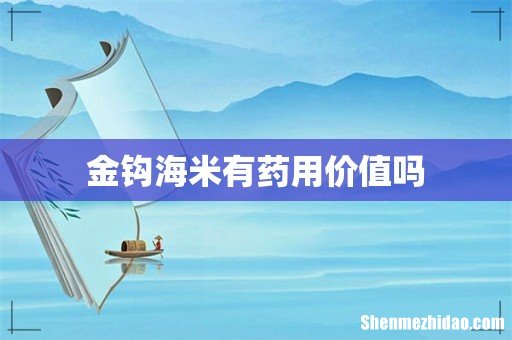 金钩海米有药用价值吗