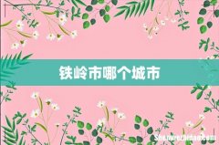 铁岭市哪个城市