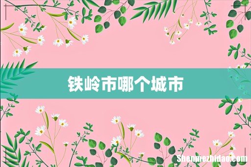 铁岭市哪个城市