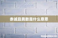 赤诚且勇敢是什么意思