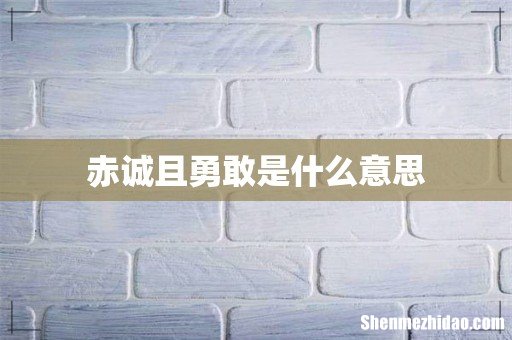 赤诚且勇敢是什么意思