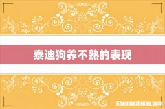 泰迪狗养不熟的表现
