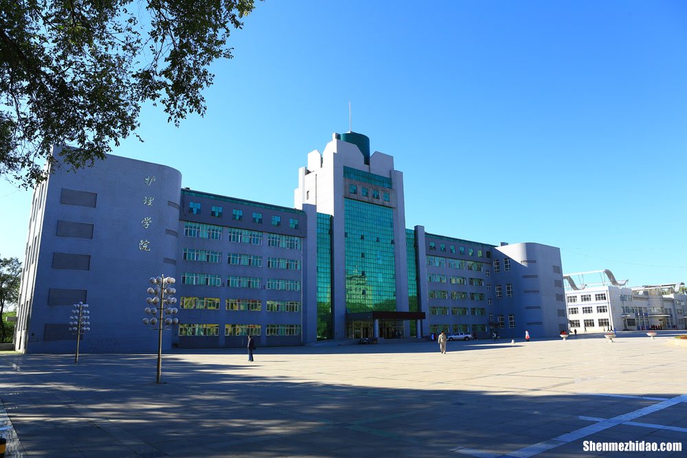 哈尔滨有什么大专学校可以直接上 哈尔滨有什么大专学校可以直接上大专
