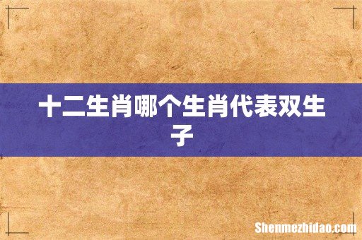 十二生肖哪个生肖代表双生子