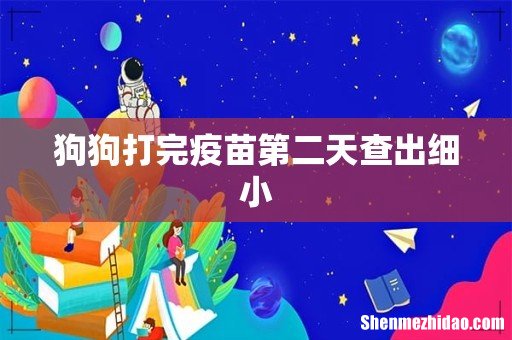 狗狗打完疫苗第二天查出细小