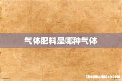 气体肥料是哪种气体