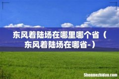 东风着陆场在哪省- 东风着陆场在哪里哪个省