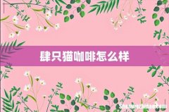 肆只猫咖啡怎么样